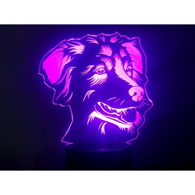 3D LAMP - Australian...