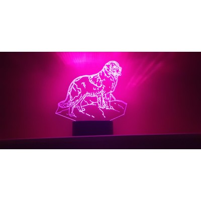 3D LAMP - Newfoundland -