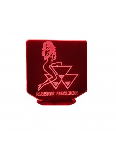 3D LAMP - MASSEY FERGUSON +...