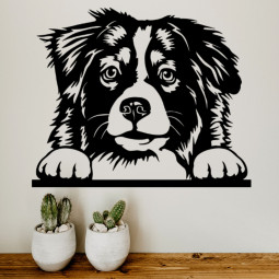 Australian shepherd - WALL...