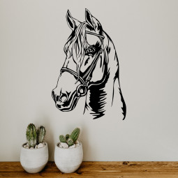 TÊTE de CHEVAL (2) -...